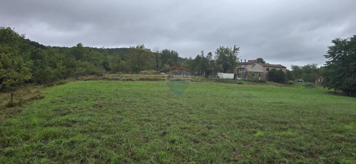 Casa Sovinjak, Buzet, 57.356m2