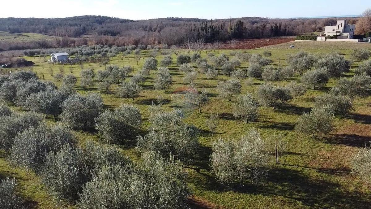 Terreno edificabile Poreč okolica, Poreč, 5.716m2