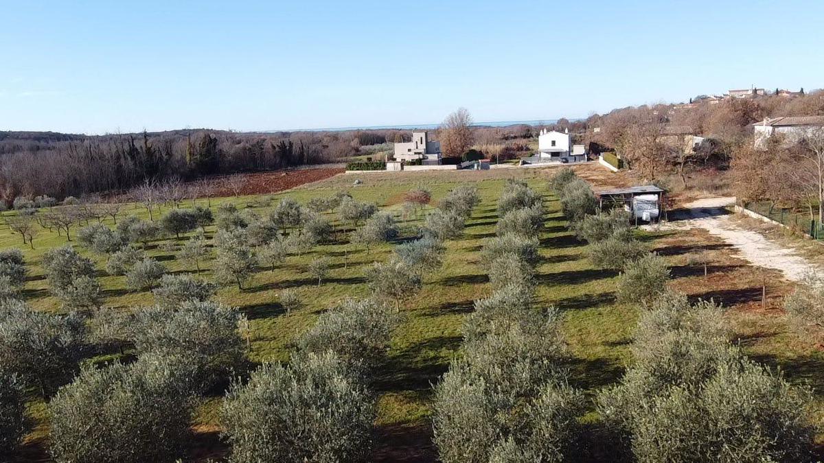 Terreno edificabile Poreč okolica, Poreč, 5.716m2