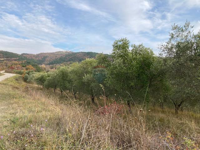 Terreno non edificabile Grimalda, Cerovlje, 23.000m2
