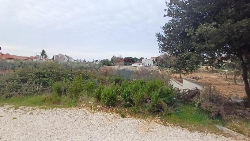 Terreno edificabile Barbariga, Vodnjan, 922m2