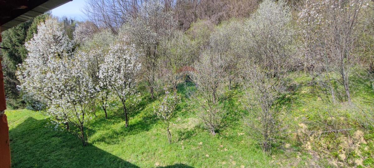 Casa Obrež Zelinski, Sveti Ivan Zelina, 840m2