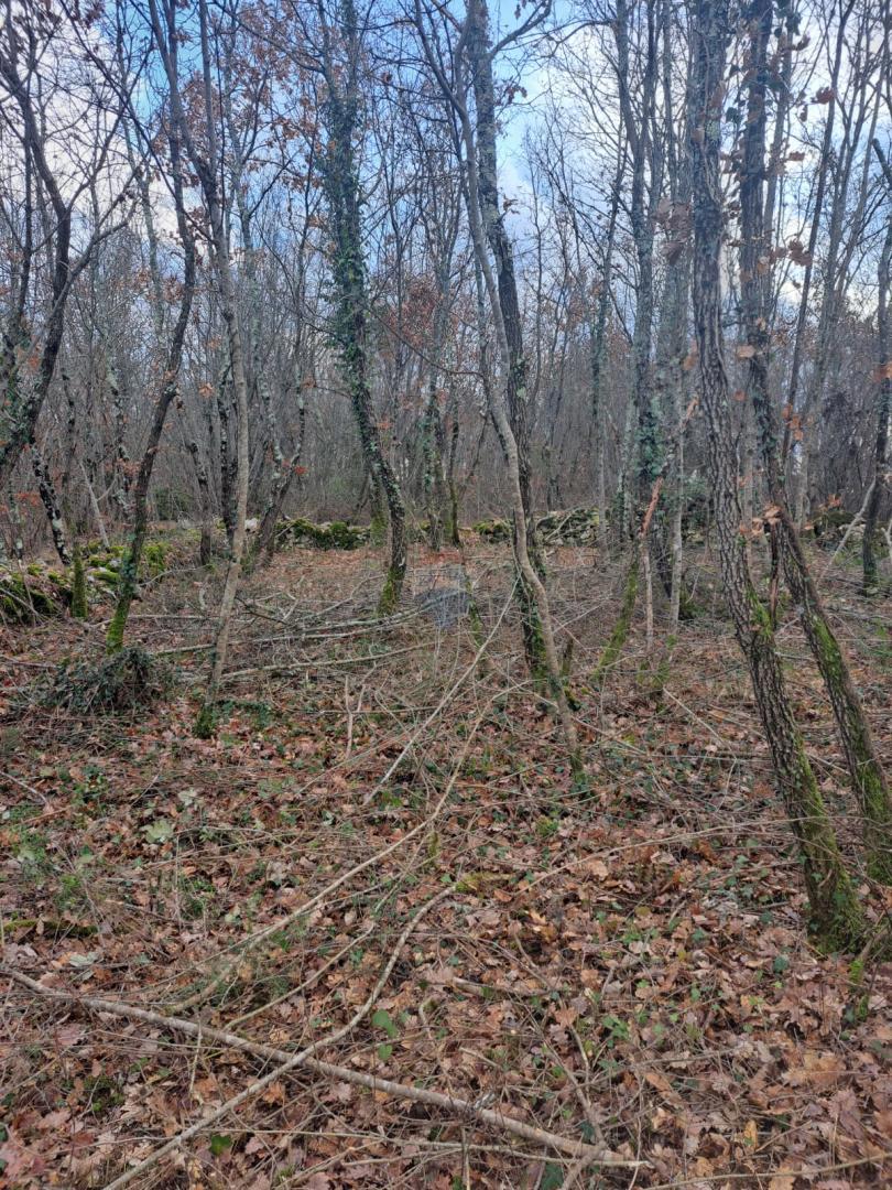 Terreno edificabile Kringa, Tinjan, 1.150m2