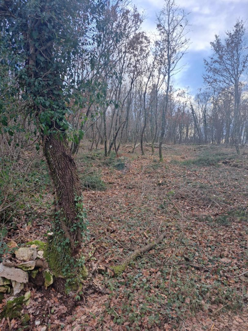 Terreno edificabile Kringa, Tinjan, 1.150m2