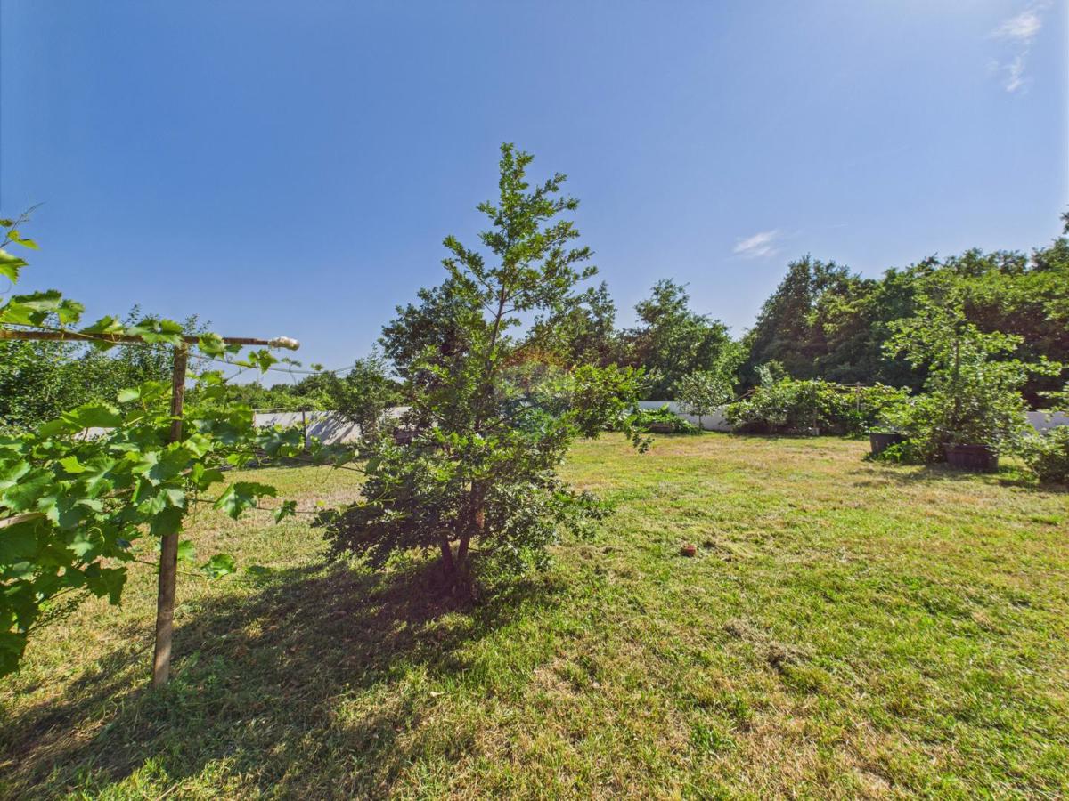 Casa Štokovci, Svetvinčenat, 248m2