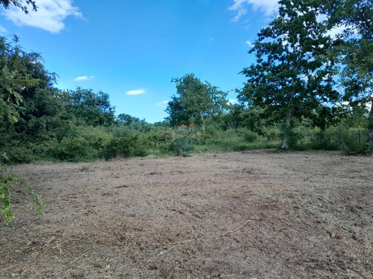 Terreno edificabile Cukrići, Svetvinčenat, 1.143m2