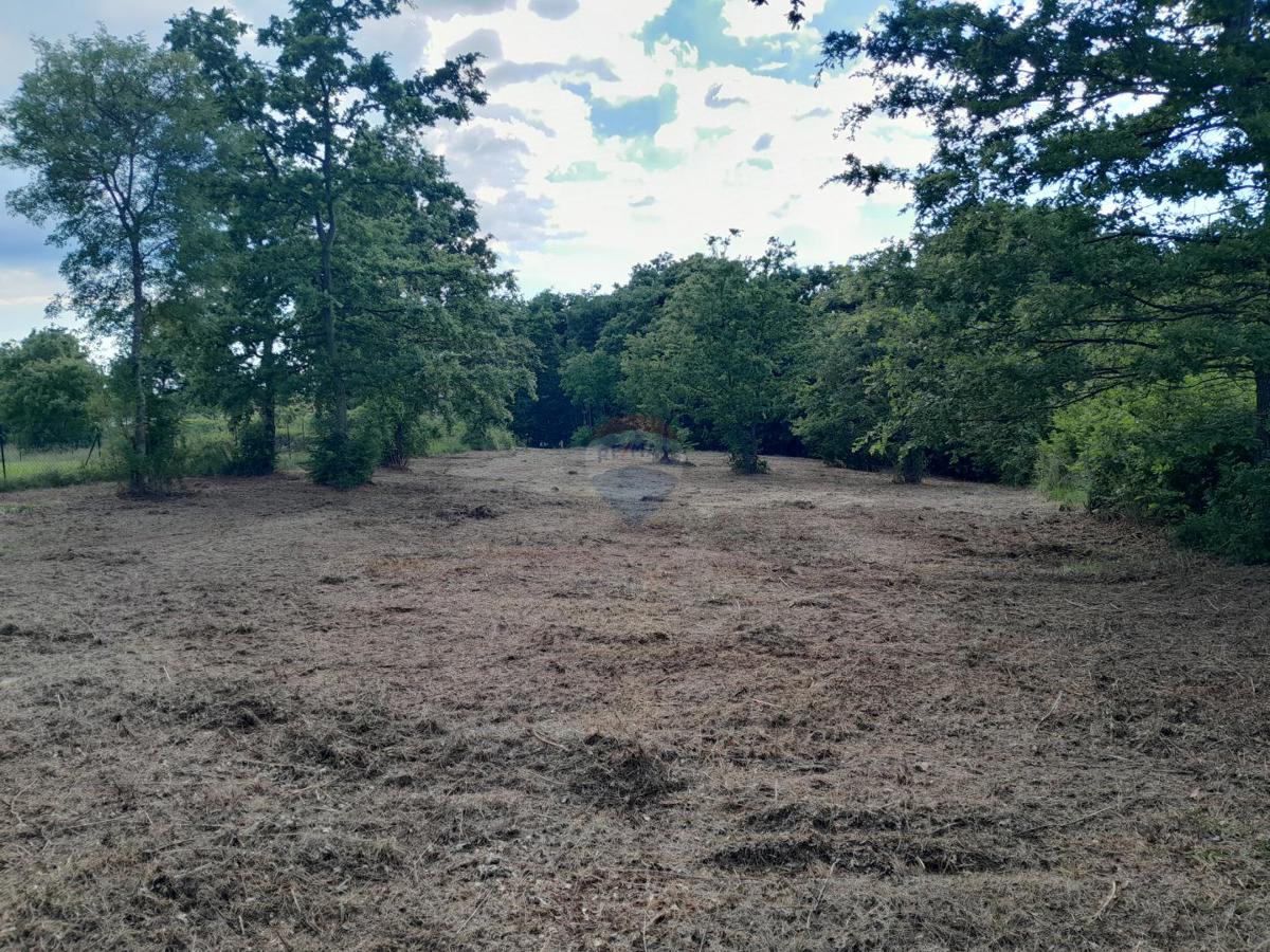 Terreno edificabile Cukrići, Svetvinčenat, 1.143m2