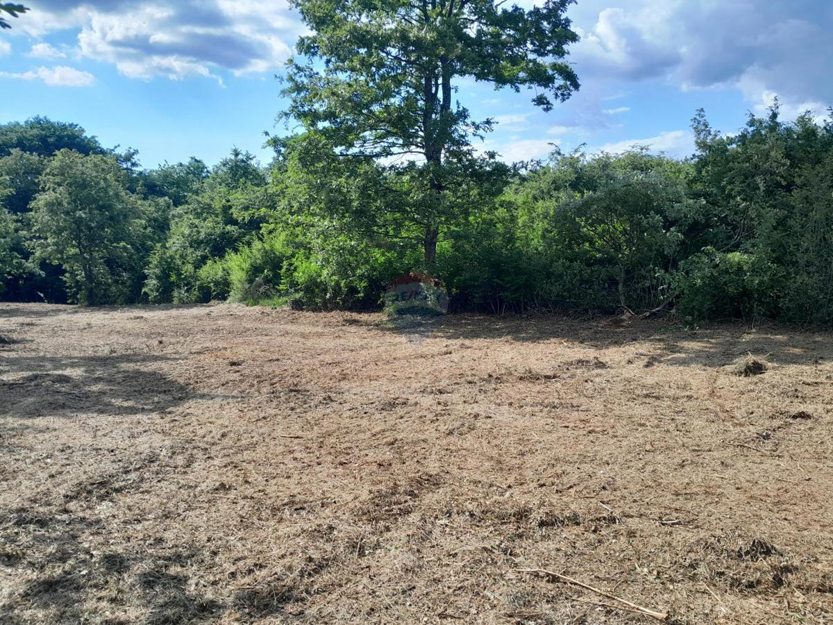 Terreno edificabile Cukrići, Svetvinčenat, 1.143m2