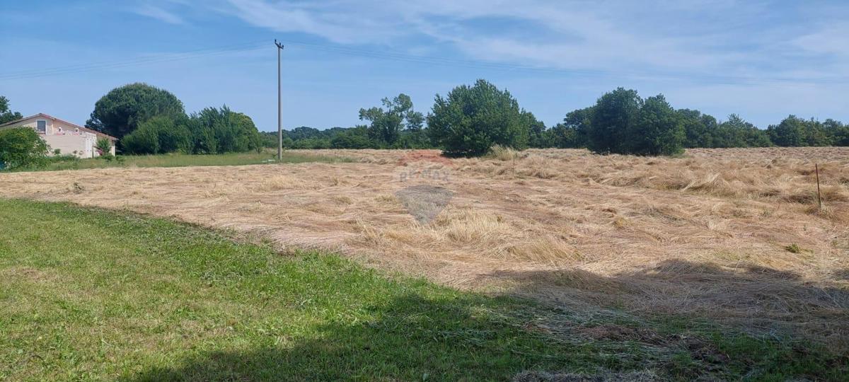 Terreno edificabile Kanfanar, 1.570m2