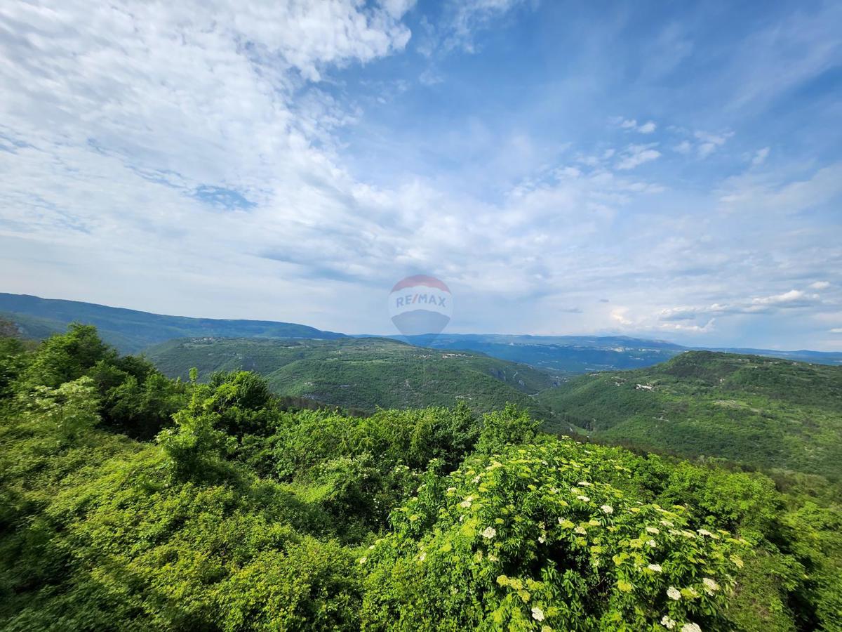 Terreno non edificabile Sovinjak, Buzet, 20.001m2