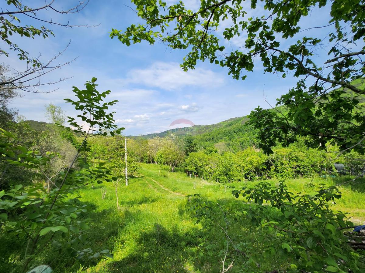 Terreno non edificabile Sovinjak, Buzet, 20.001m2