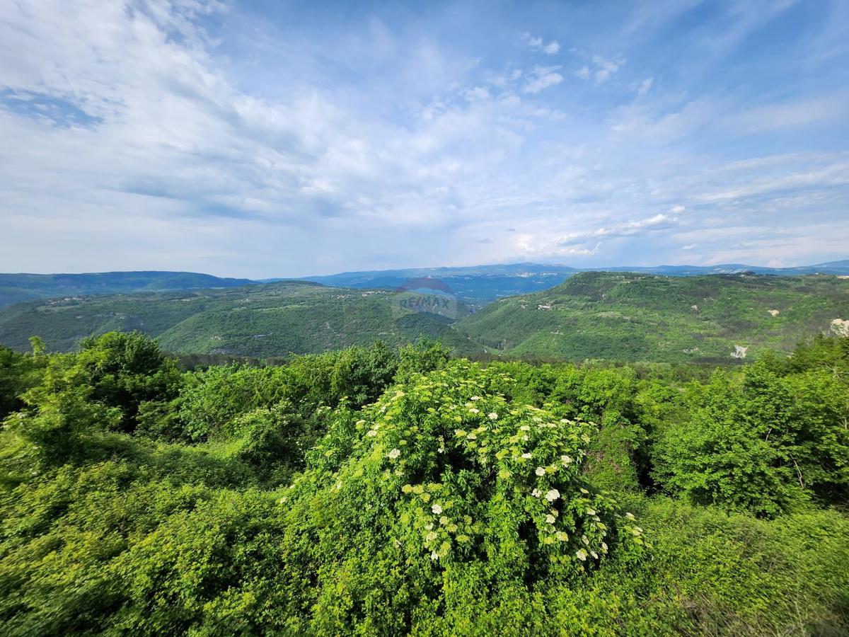 Terreno non edificabile Sovinjak, Buzet, 20.001m2