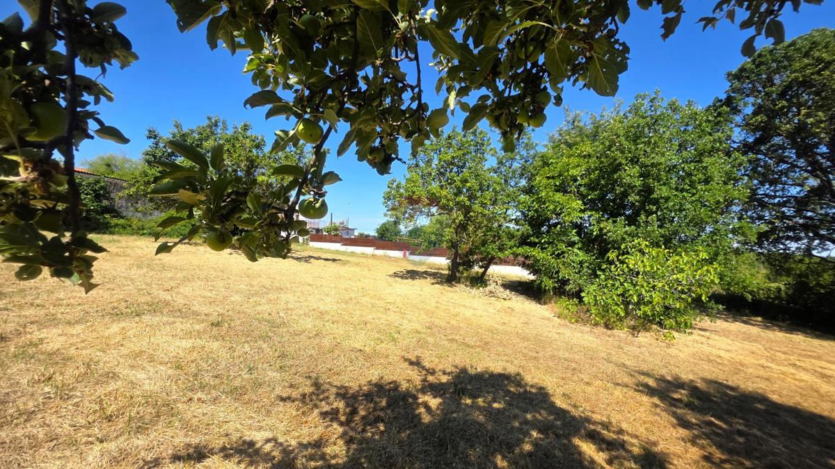 Terreno edificabile Brtonigla, 574,38m2