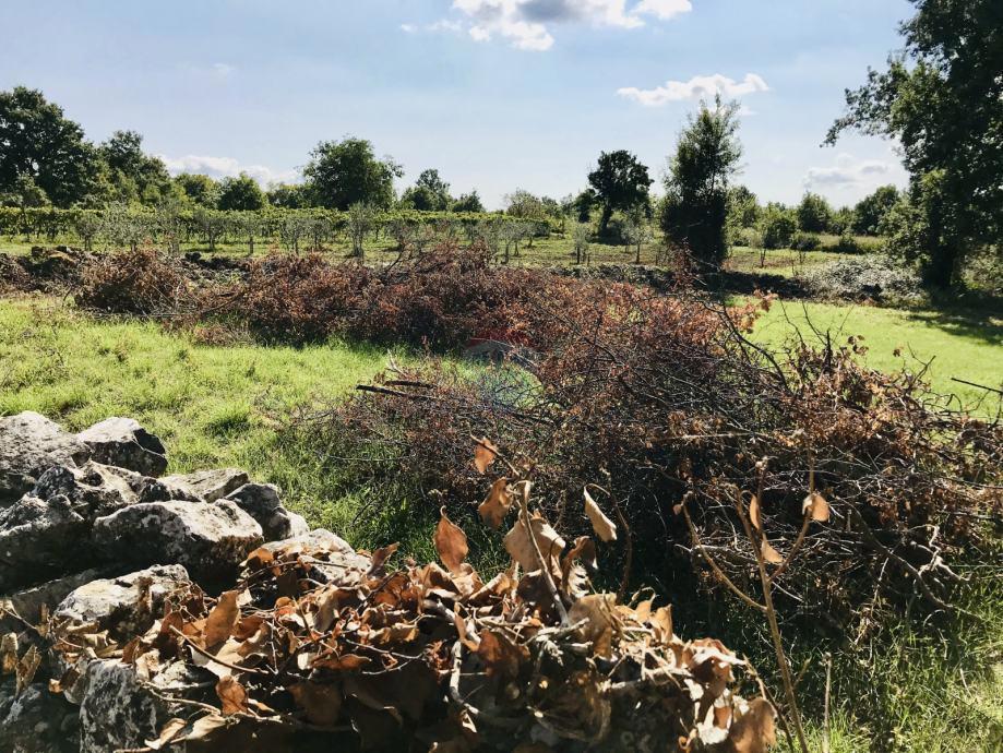 Žminj, Cere – Terreno Edificabile con Permesso per Casa Moderna con Piscina