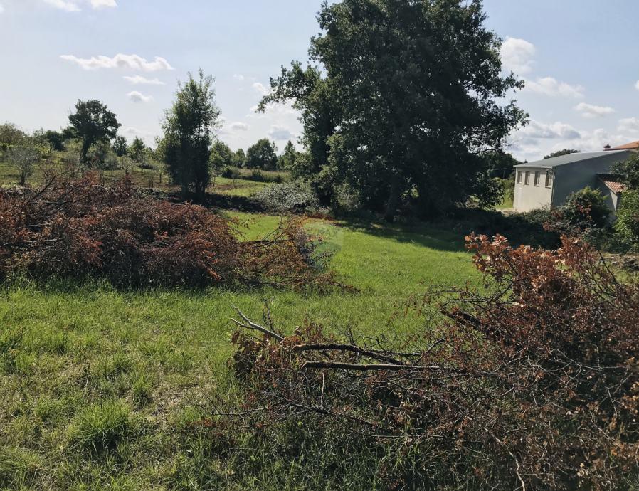 Žminj, Cere – Terreno Edificabile con Permesso per Casa Moderna con Piscina