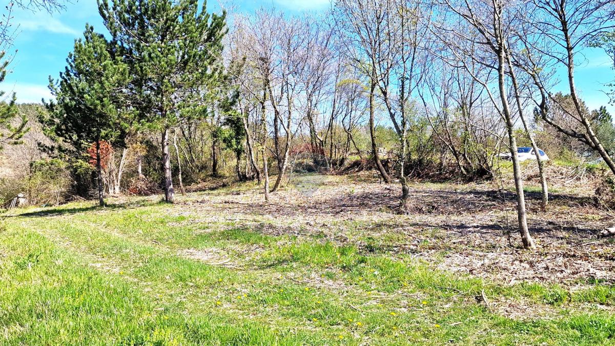 Terreno edificabile Krasica, Buje, 898m2