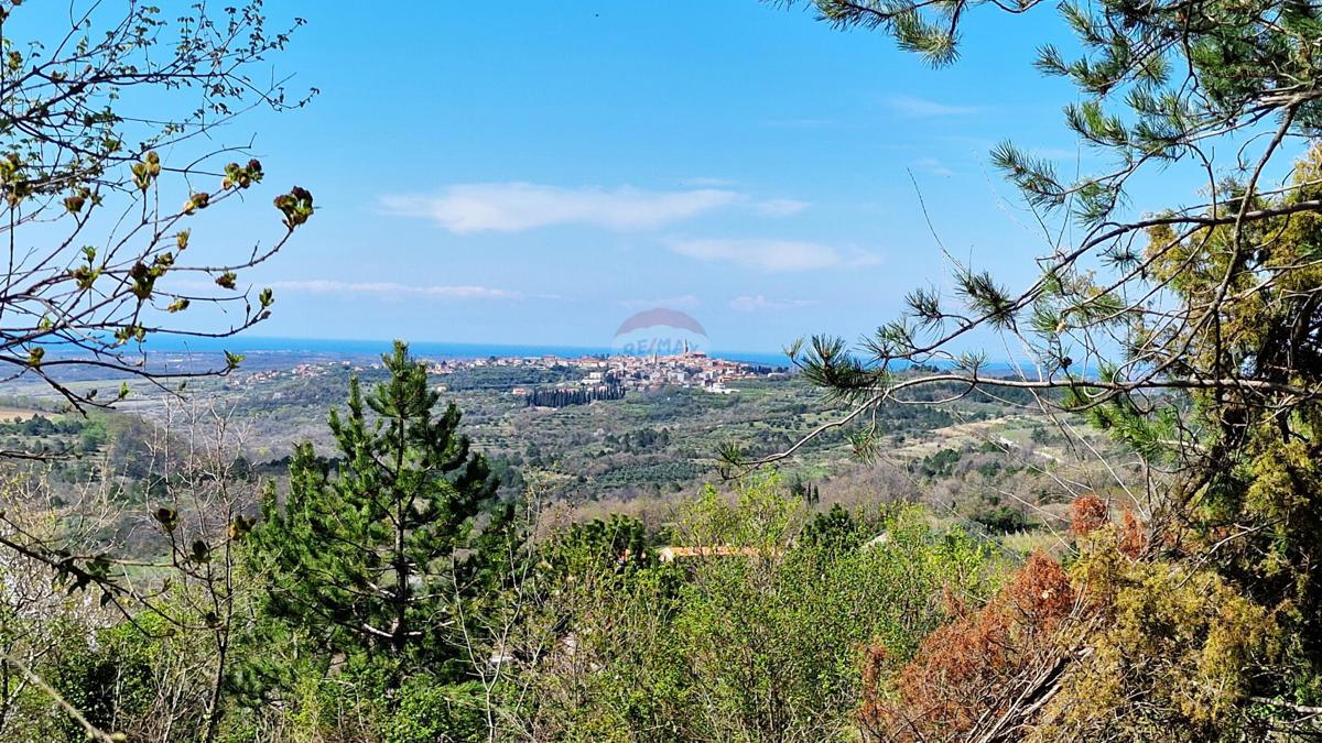 Terreno edificabile Krasica, Buje, 898m2