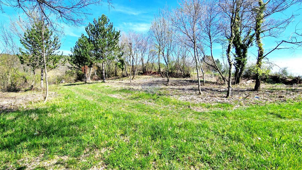 Terreno edificabile Krasica, Buje, 898m2