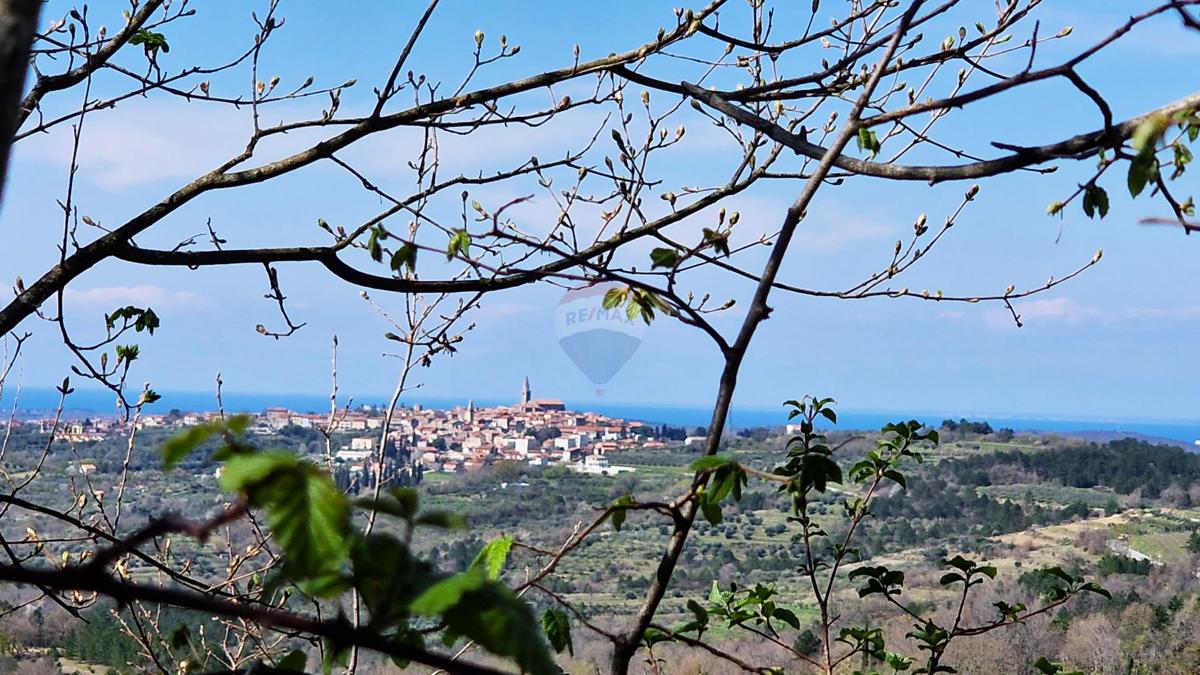 Terreno edificabile Krasica, Buje, 898m2
