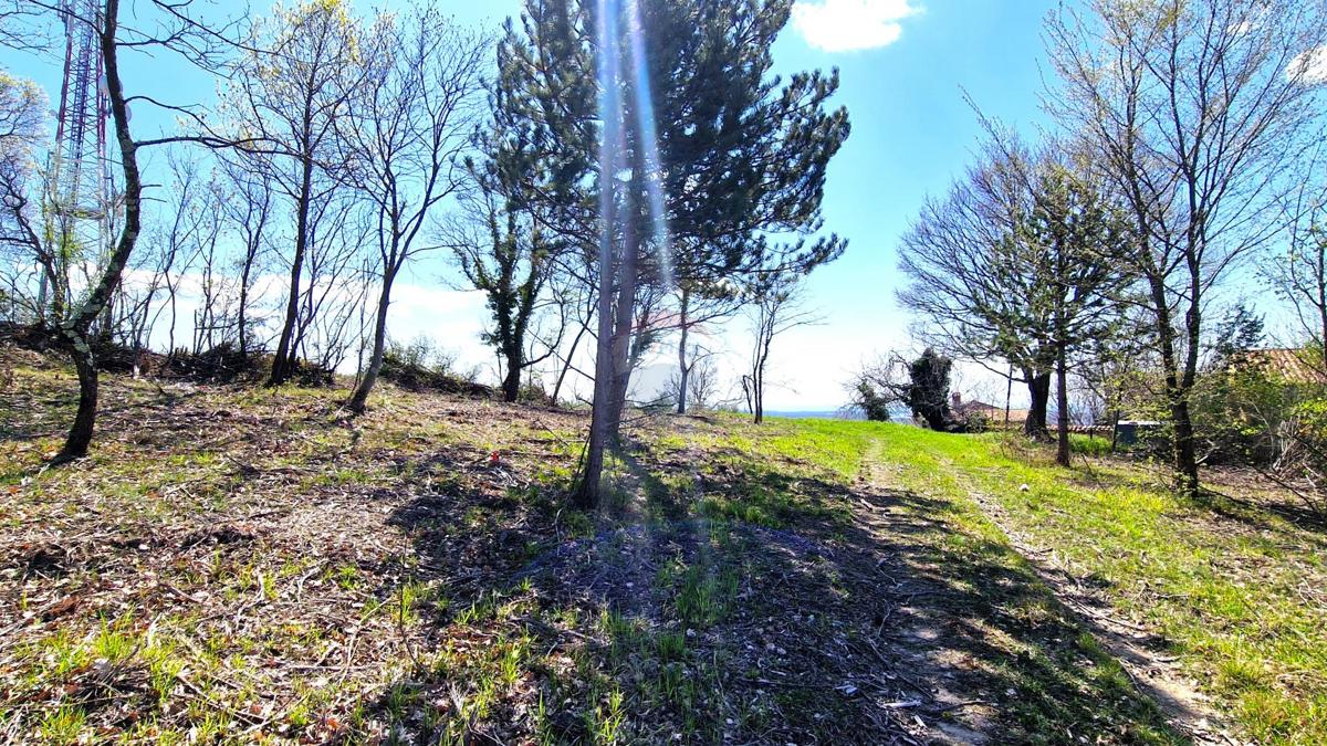 Terreno edificabile Krasica, Buje, 898m2