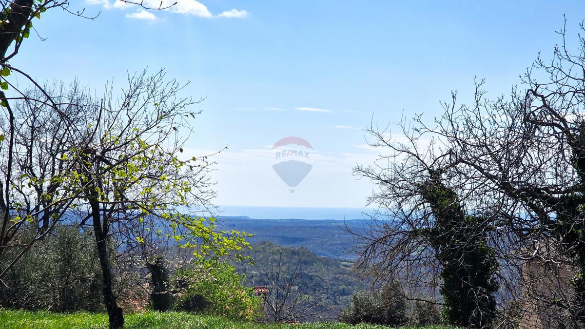 Terreno edificabile Krasica, Buje, 898m2