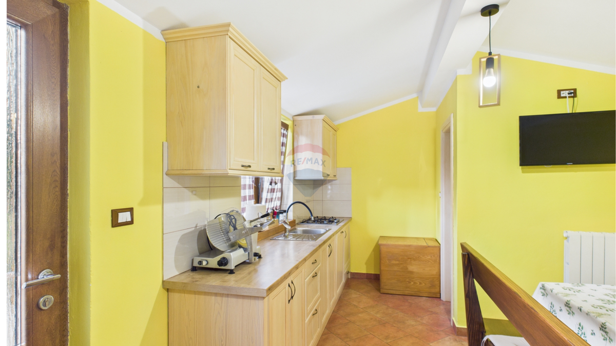 ISTRIA, ŽMINJ – Appartamento con giardino, cucina estiva e cantina