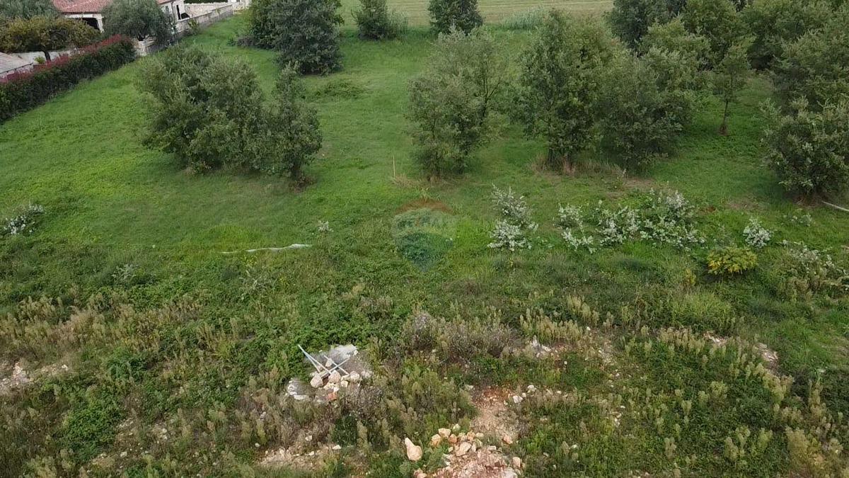 Terreno edificabile Tar, Tar-Vabriga, 1.276m2