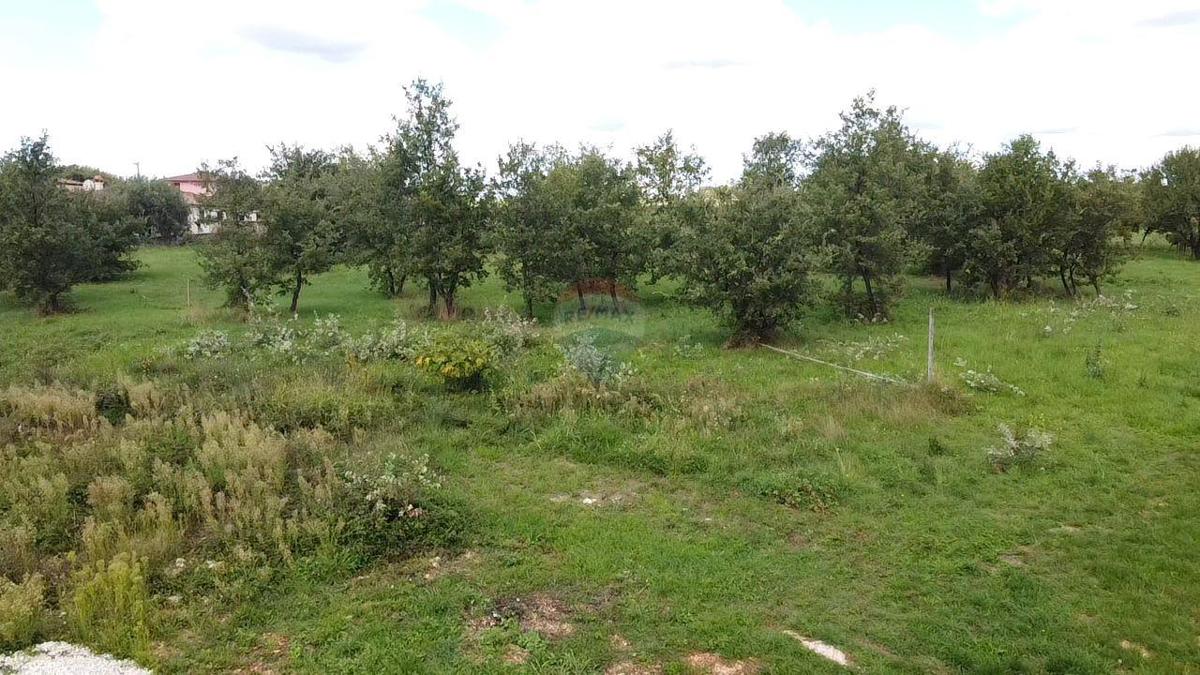 Terreno edificabile Tar, Tar-Vabriga, 1.276m2