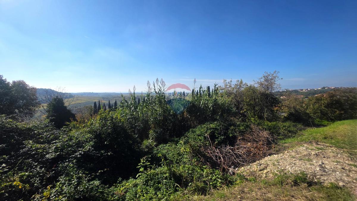 Terreno edificabile Buje, 903m2