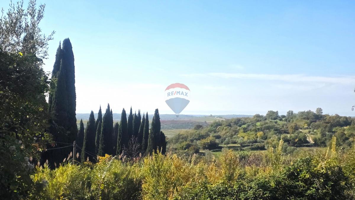 Terreno edificabile Buje, 903m2