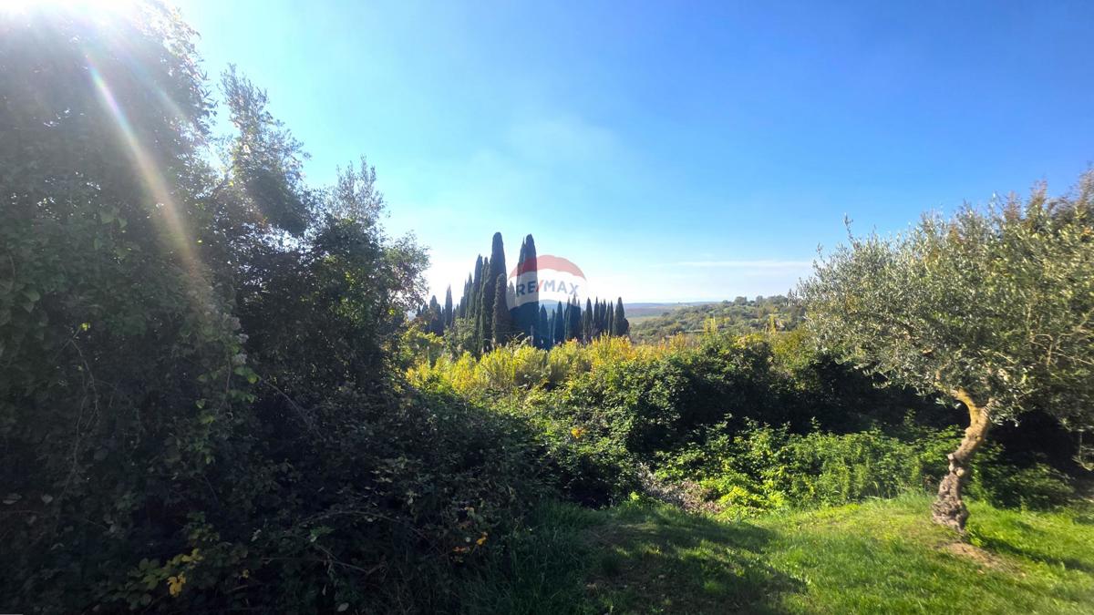 Terreno edificabile Buje, 903m2