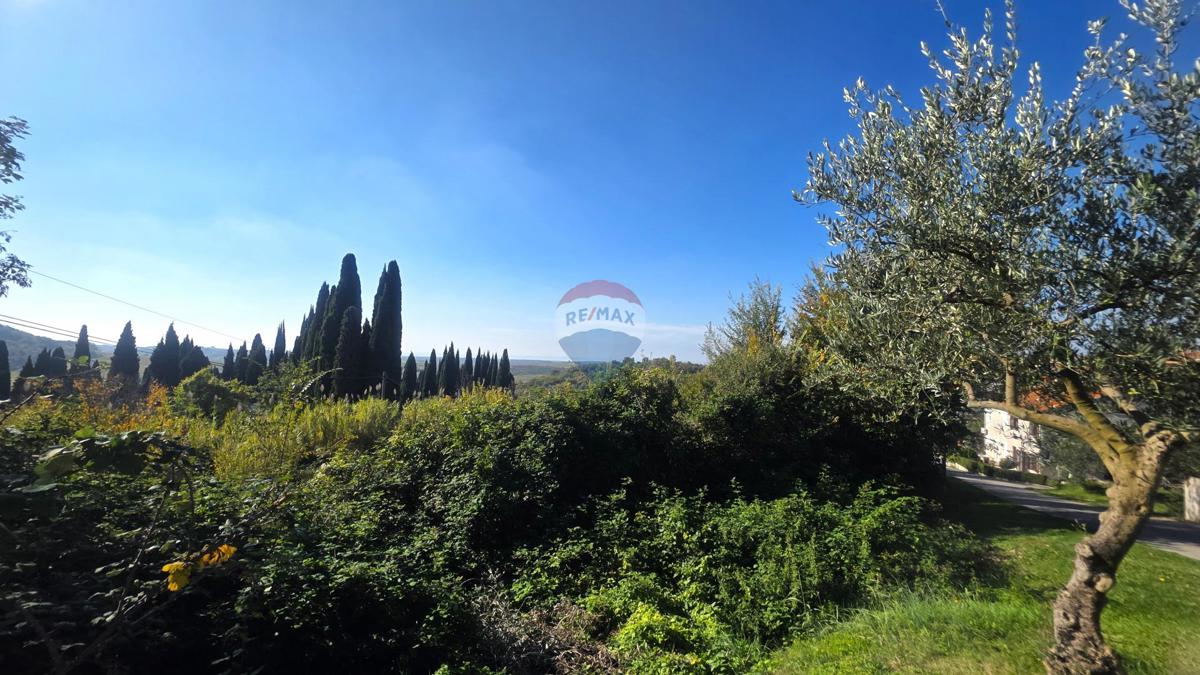 Terreno edificabile Buje, 903m2