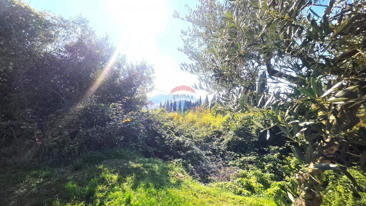 Terreno edificabile Buje, 903m2