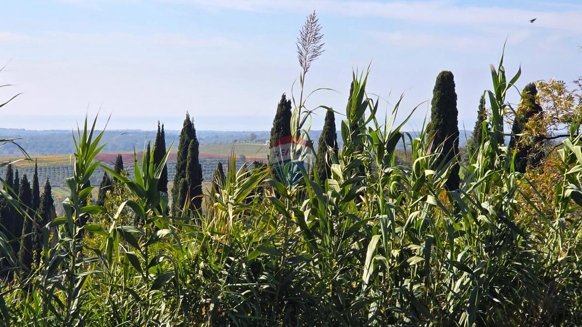 Terreno edificabile Buje, 903m2
