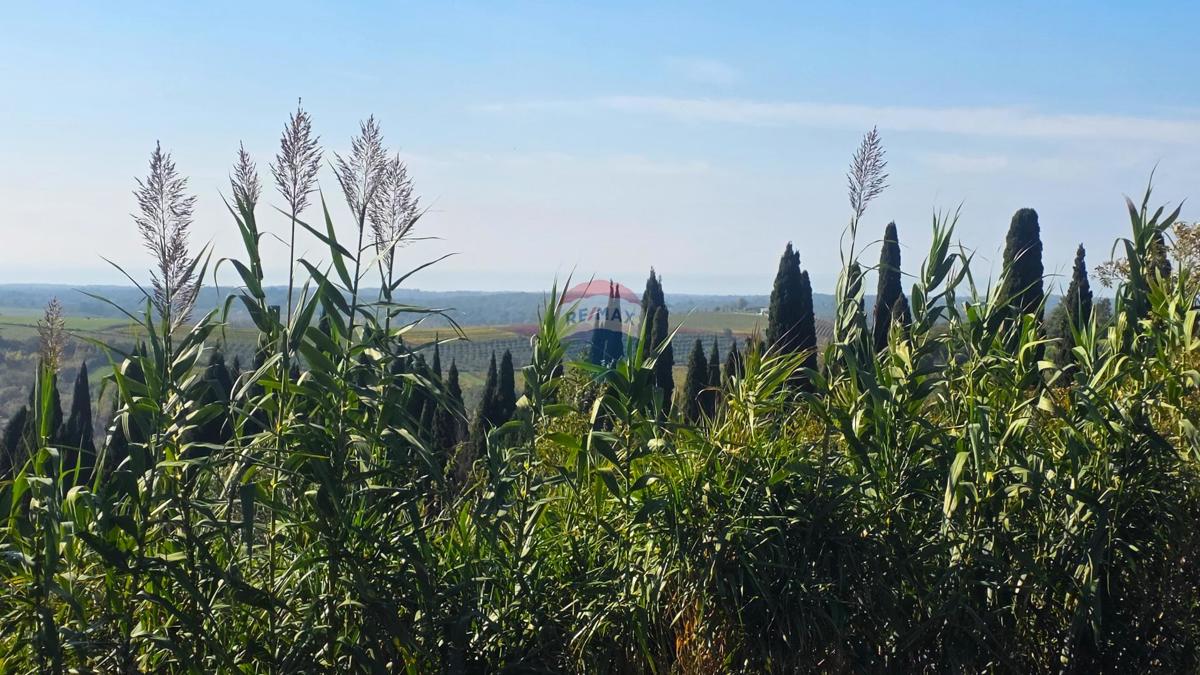 Terreno edificabile Buje, 903m2