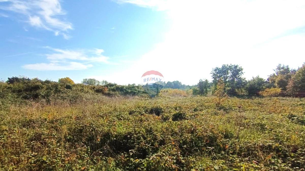 Terreno edificabile Novigrad, 659m2