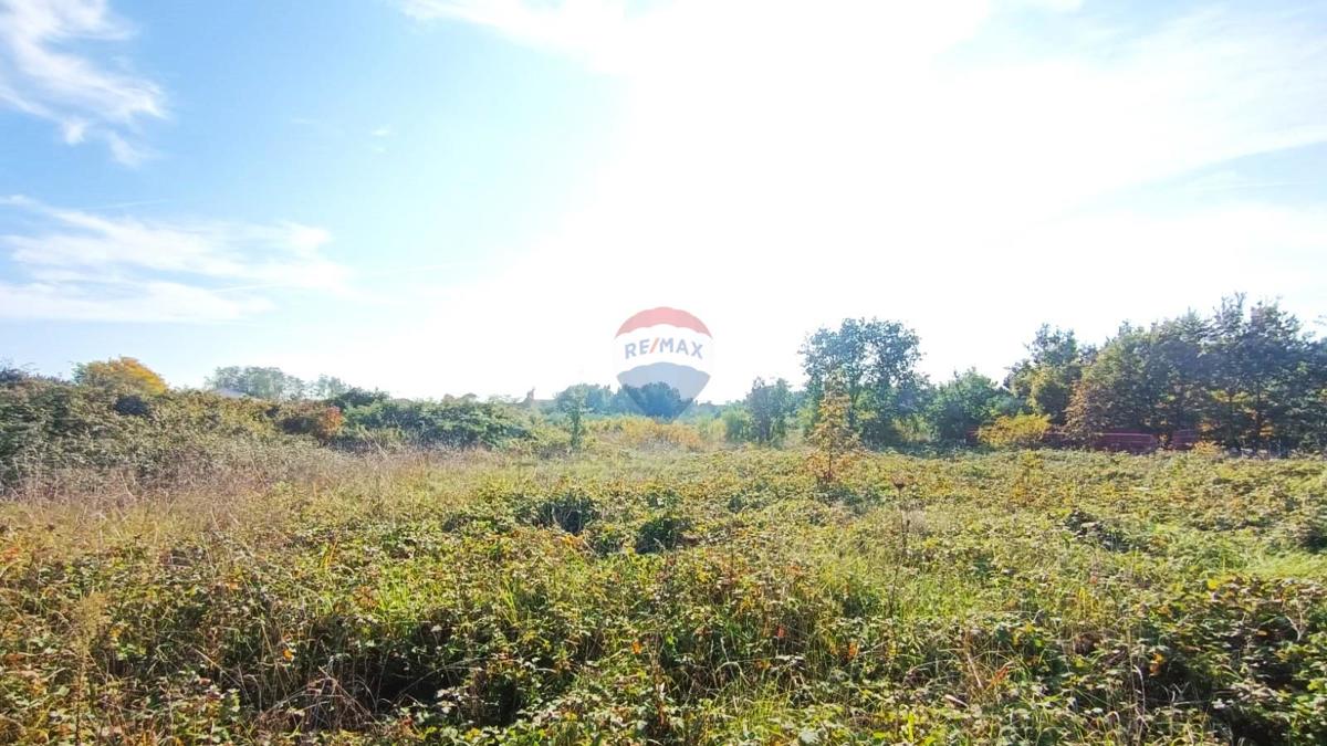 Terreno edificabile Novigrad, 659m2