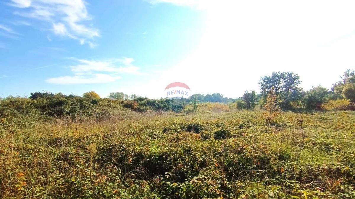 Terreno edificabile Novigrad, 659m2