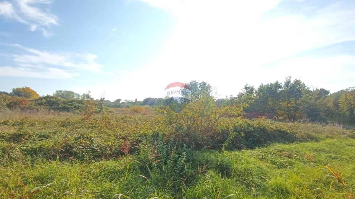 Terreno edificabile Novigrad, 659m2