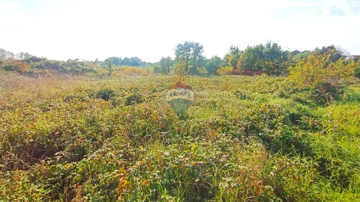 Terreno edificabile Novigrad, 659m2