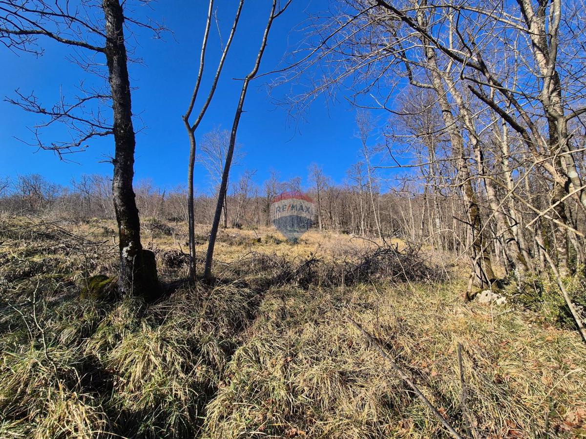 Terreno edificabile Kastav, 604m2