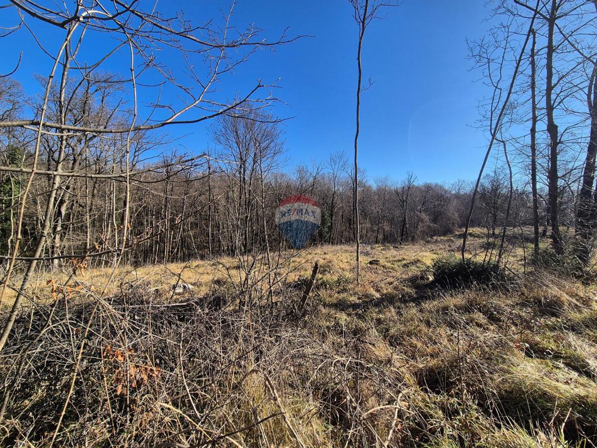 Terreno edificabile Kastav, 604m2