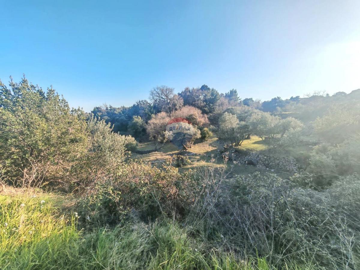 Terreno edificabile Palit, Rab, 1.815m2