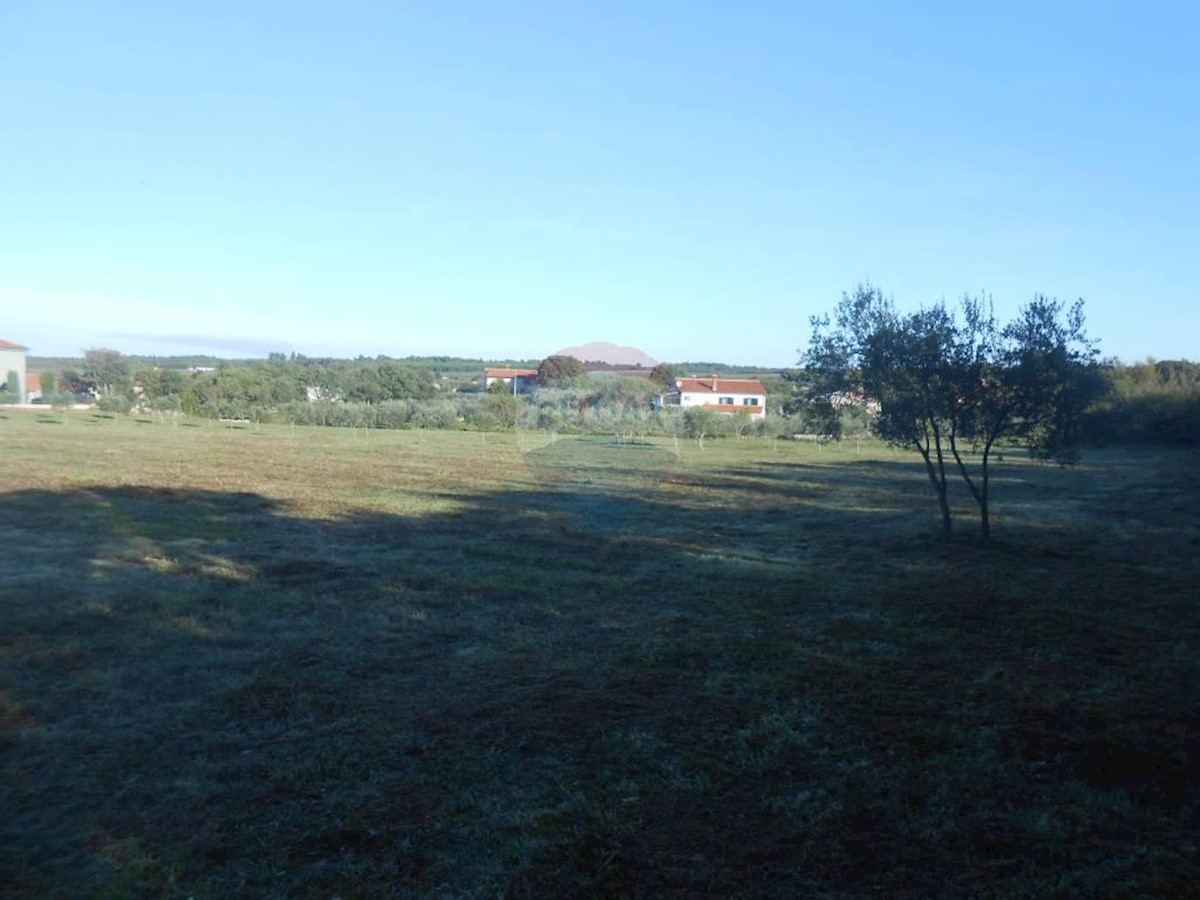 Terreno agricolo Galižana, Vodnjan, 10.664m2