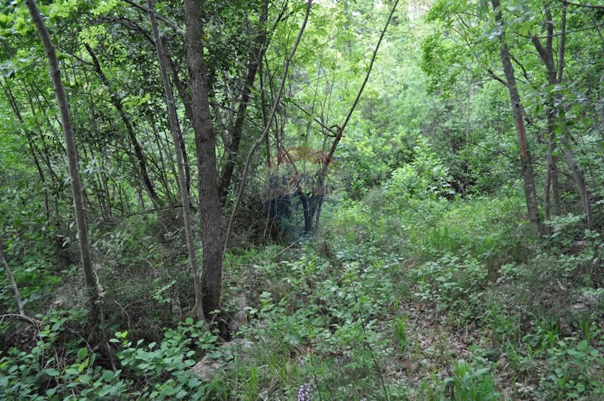 Terreno non edificabile Brseč, Mošćenička Draga, 1.590m2