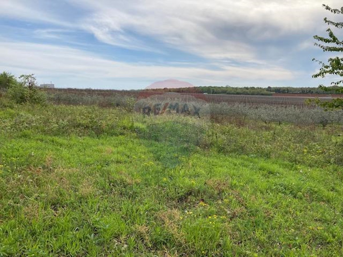 Terreno non edificabile Mugeba, Poreč, 30.442m2