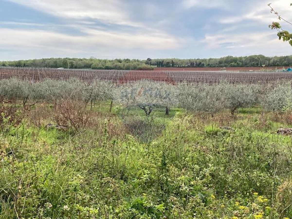 Terreno non edificabile Mugeba, Poreč, 30.442m2