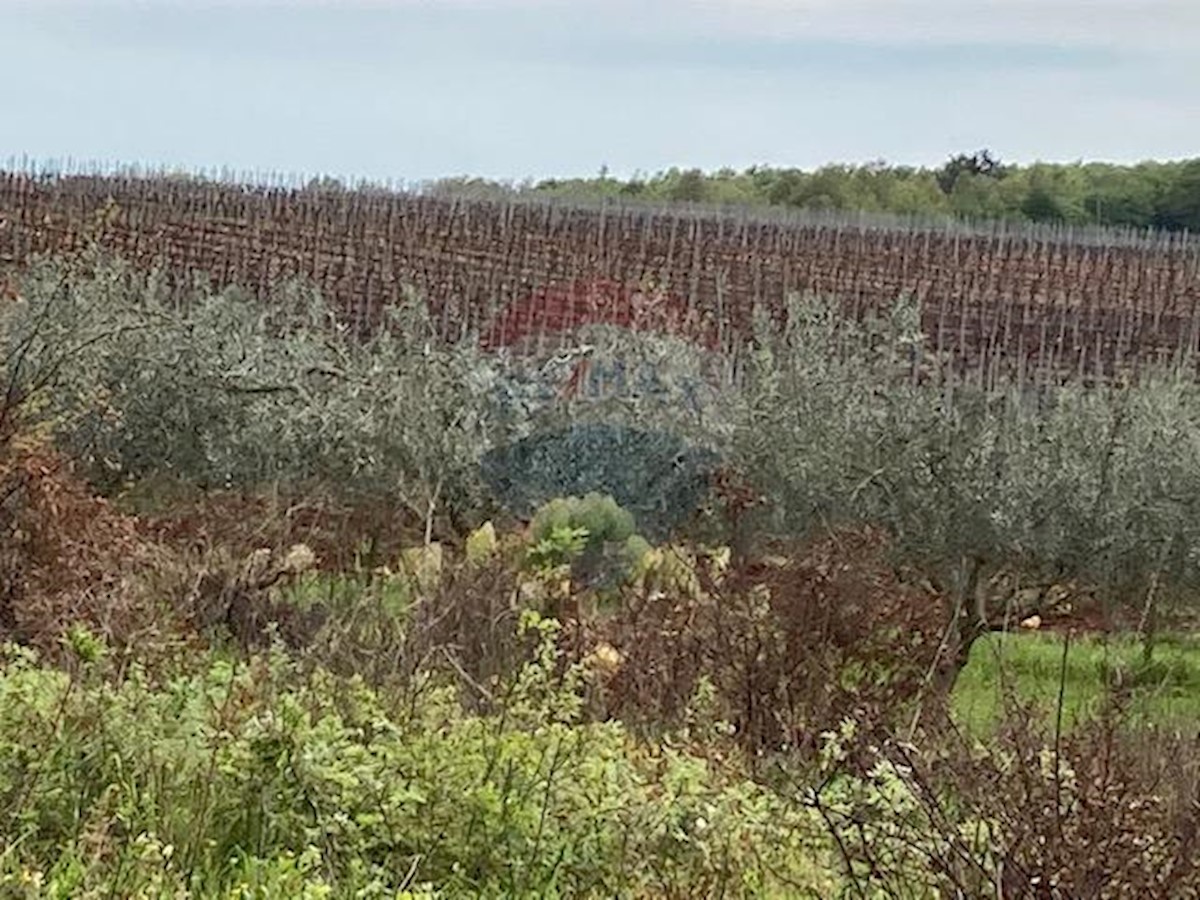 Terreno non edificabile Mugeba, Poreč, 30.442m2