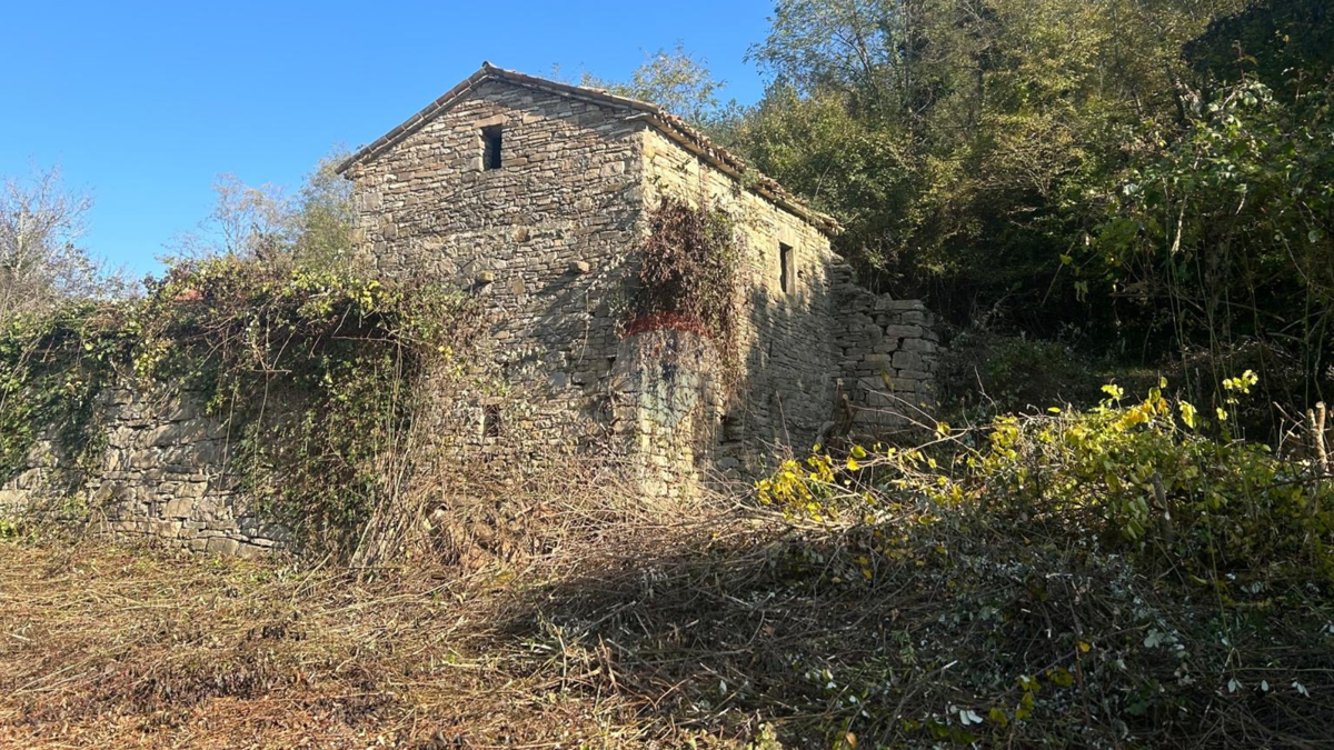 Istria,Belaj: Antico podere istriano con casa da ristrutturare e terreno di 5.542 m²