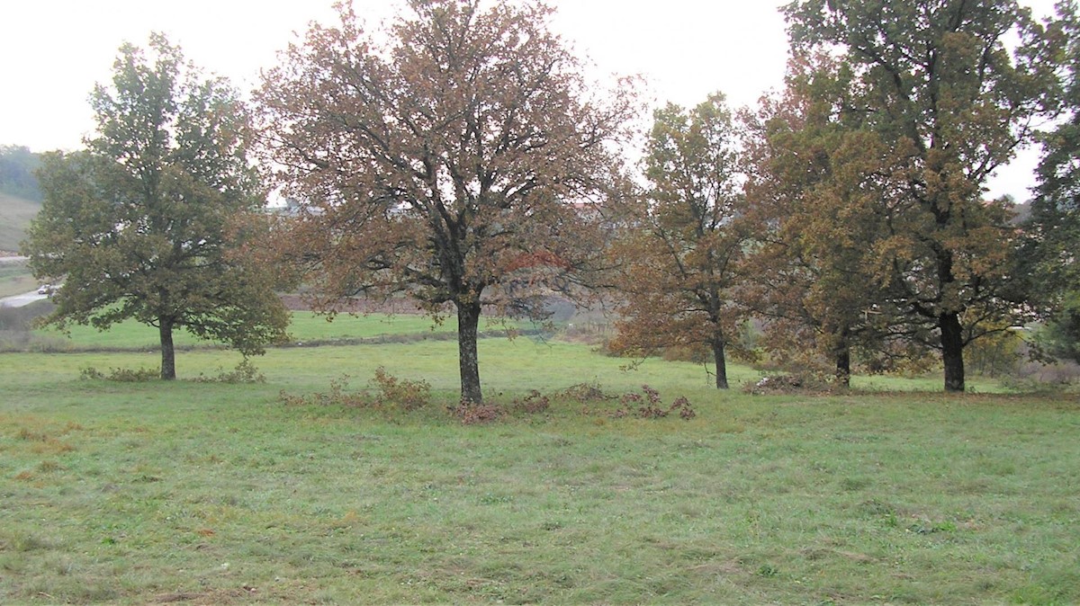 Terreno edificabile Trviž, Pazin - Okolica, 12.300m2